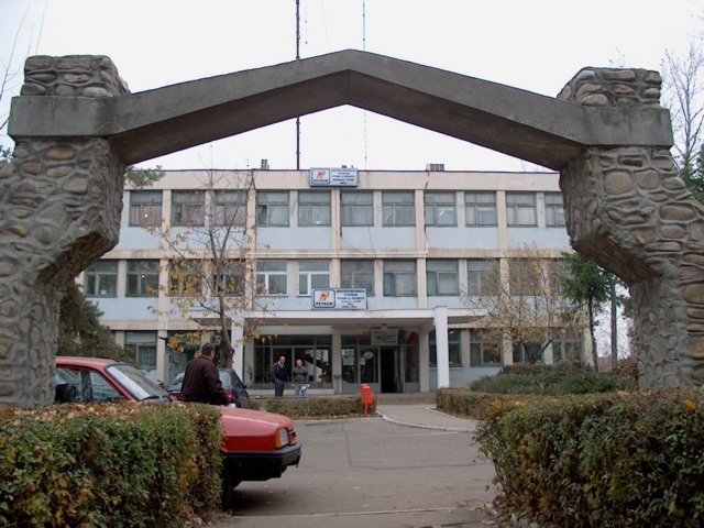 Photograph
